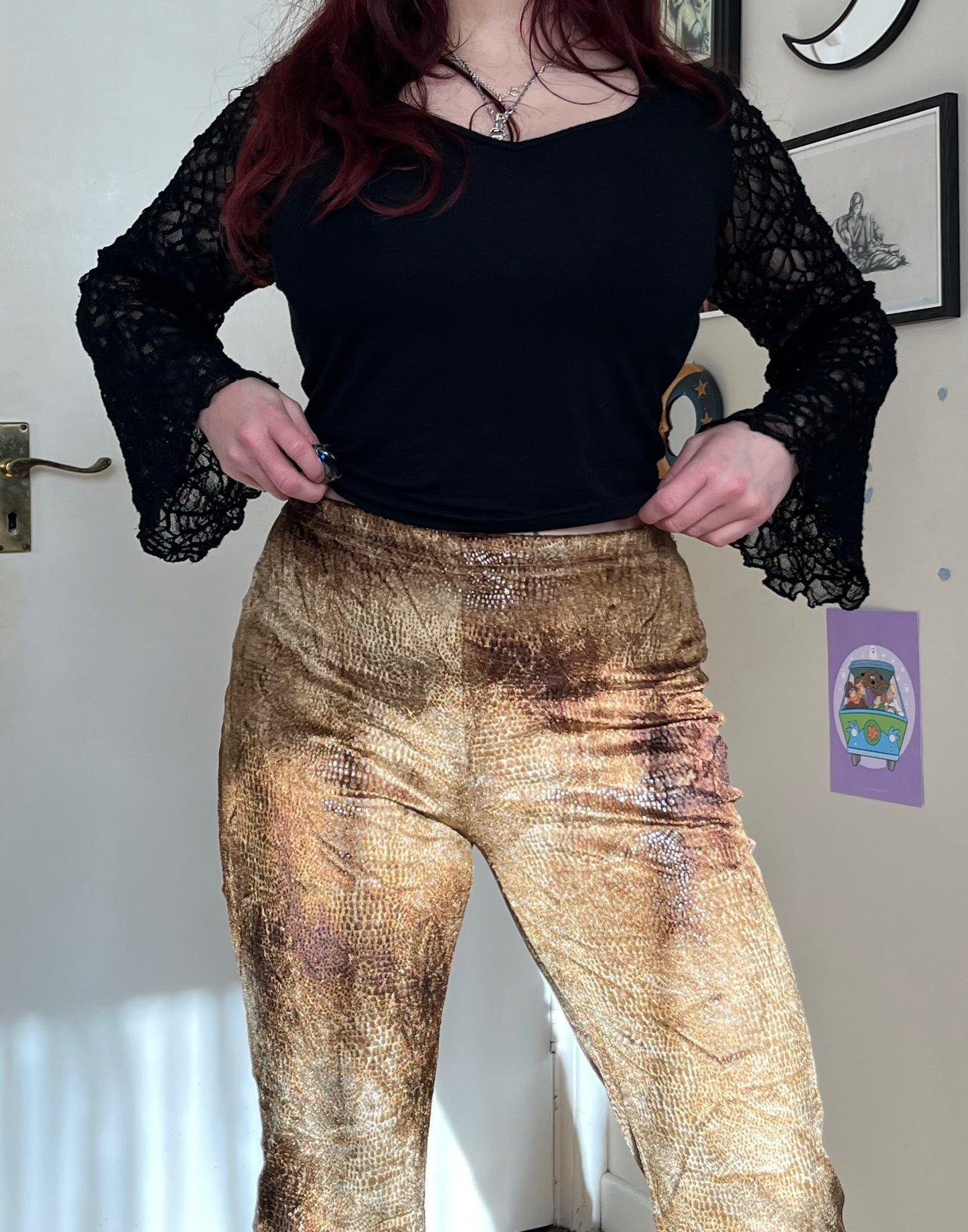 Velvet Brown Pants UK 12