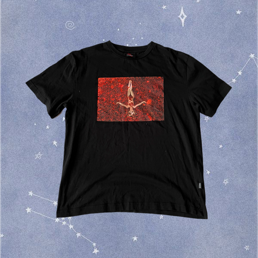 American Beauty Tshirt M