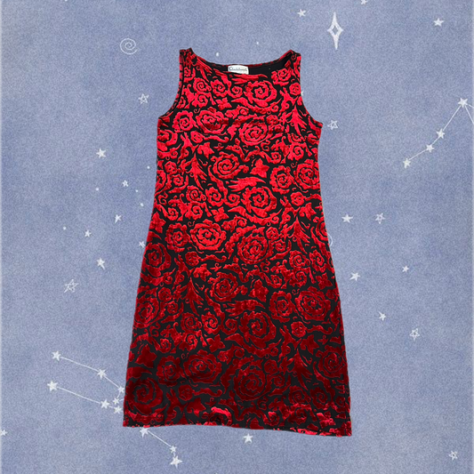 Burnout Velvet Dress UK 10