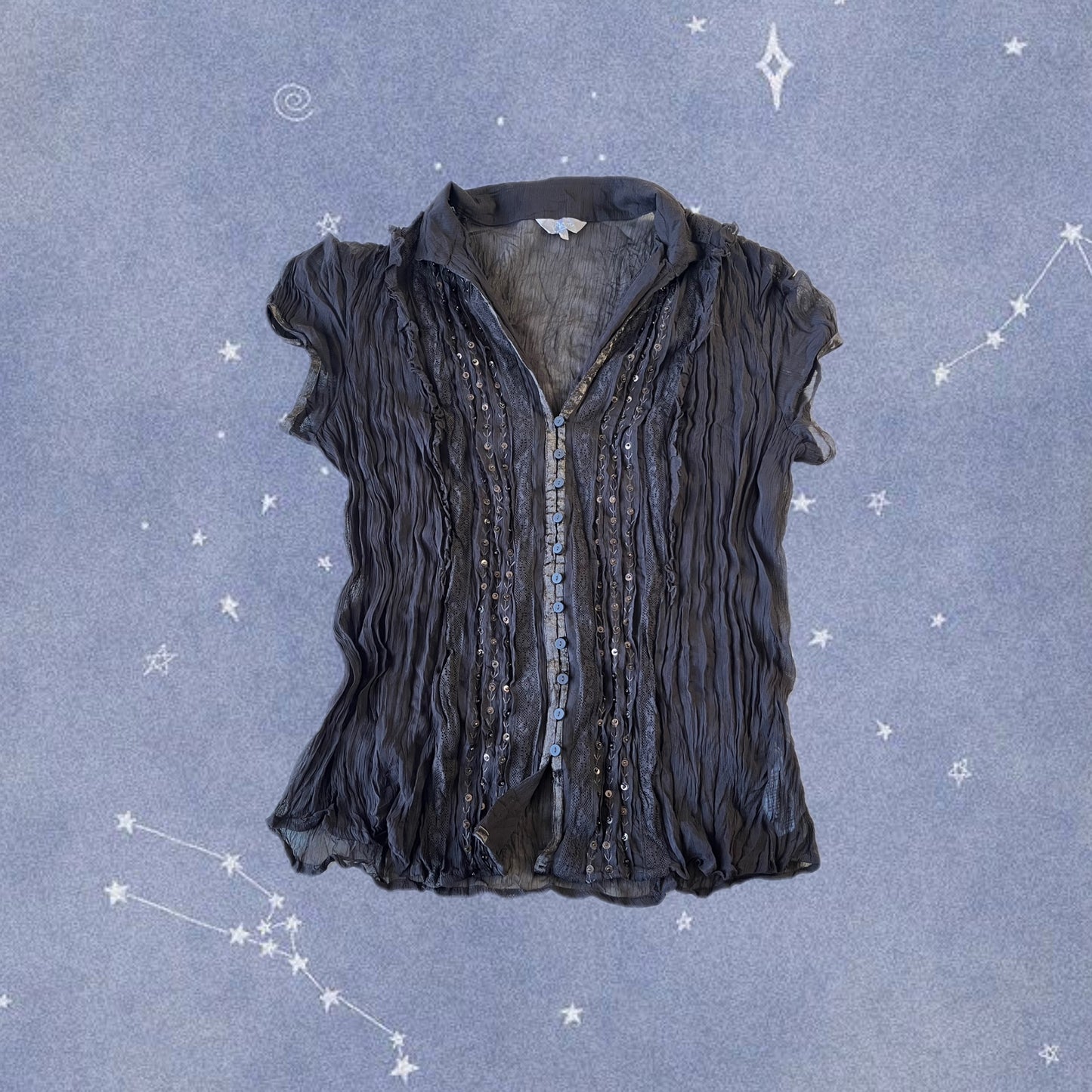 Daisy Top UK 14